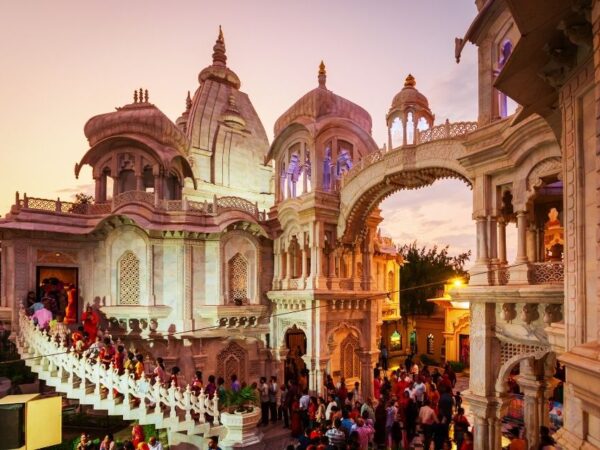 7 Days / 6 Nights – Golden Wildlife & Spiritual Tour India